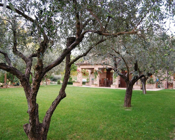 B&B La Casa delle Rondini