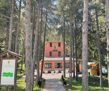 La Pinetina