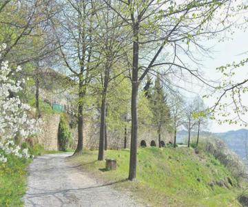 Agriturismo La Rovere