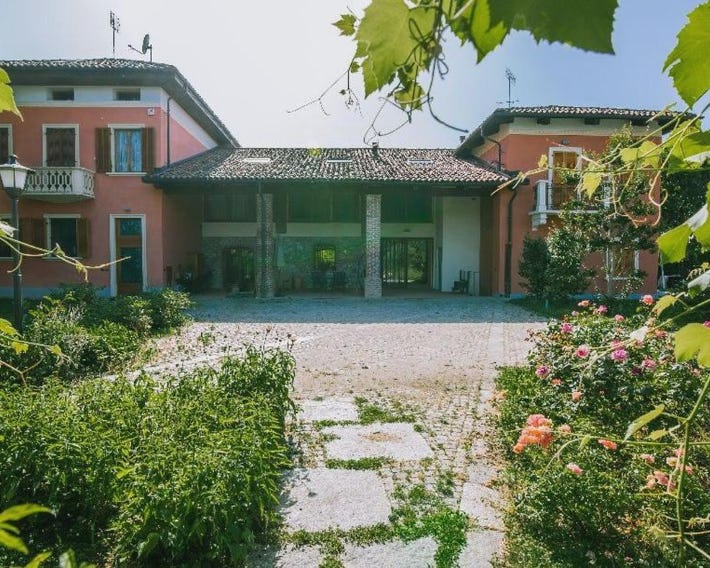 IN VIRIDI