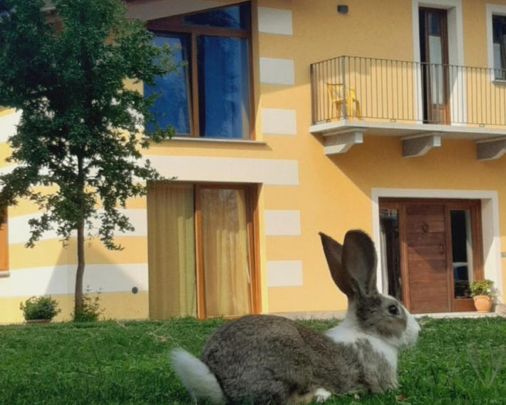 Agriturismo Fior Di Campo