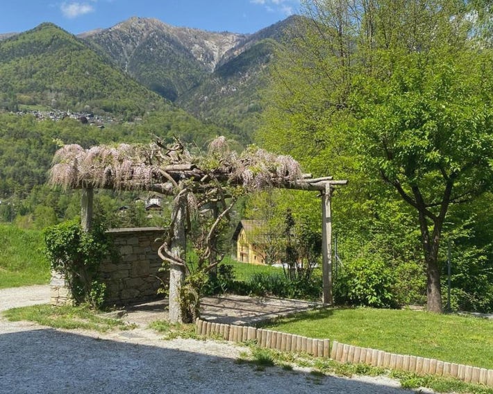 Domus Mea