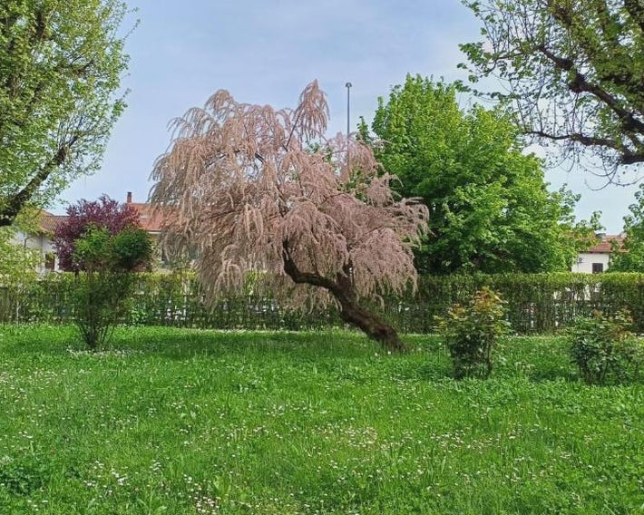 La Casa nel Parco