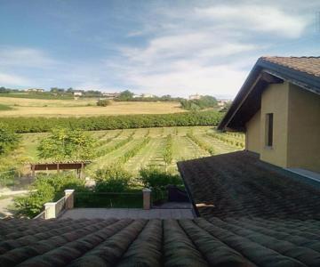 Vite diPinte 1 bilocale in langa