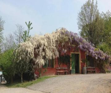 Agriturismo Cascina degli Ulivi