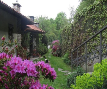 Casa Kinka