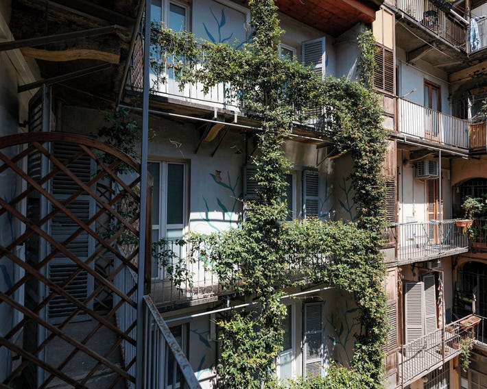 Tomato Backpackers Hotel