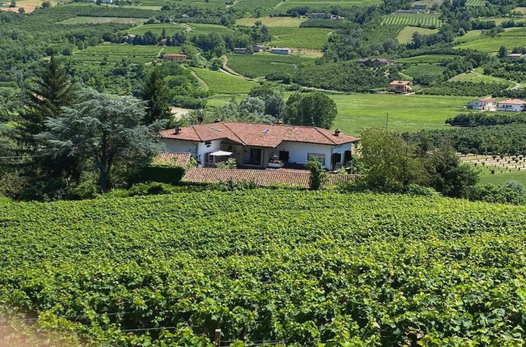 MAMOTA B&B