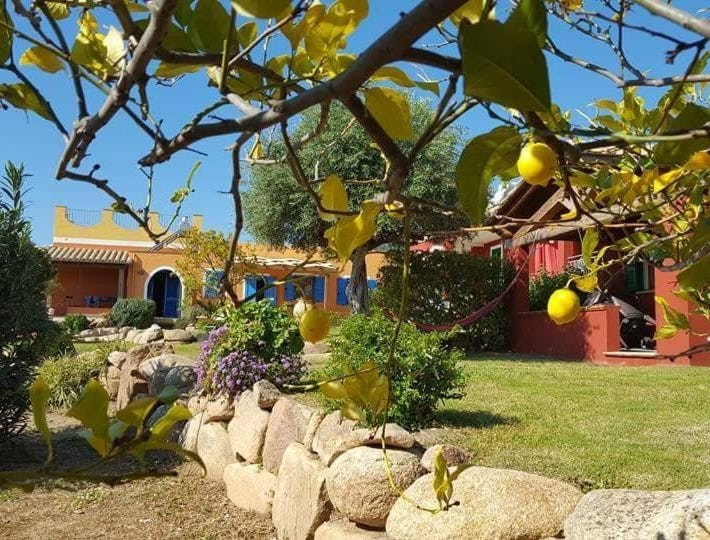 Sole e Sale in Sardegna