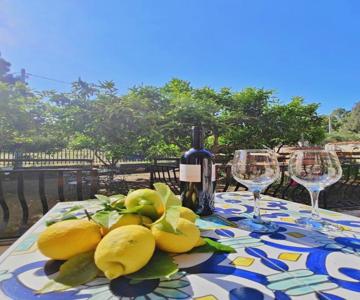 Lemon Tree Home