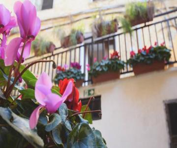 Scalia House Appartamento Via Atenea Agrigento