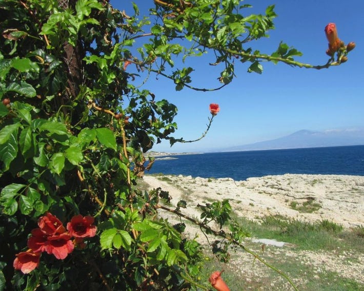 Villa Sicily Sul Mare Tra Catania e Siracusa