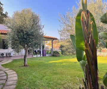 Villa Summer house
