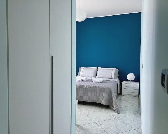 BluViRo