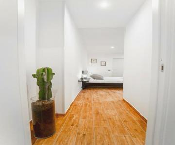 Civico64 apartments