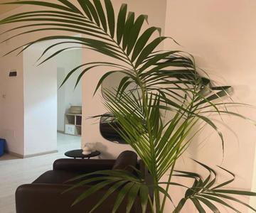 Deodato guesthouse