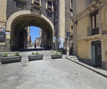 Crociferi Home di Agata e Aurora
