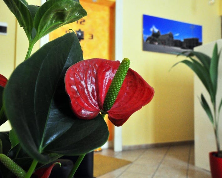 B&B Da Rì