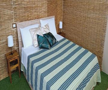 Cerami Jungle Suite
