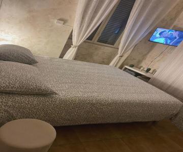 Holiday House