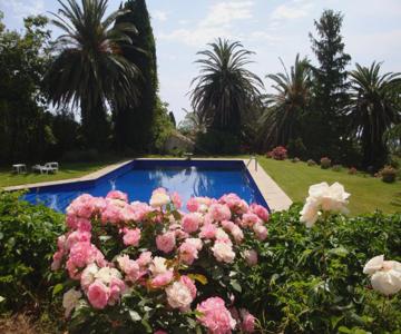 Villa Iolanda-Sive Natura Wine&House