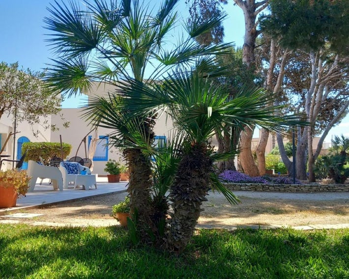 Blu Vacanze Apartments