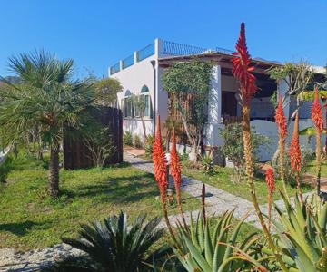 Garden & Sea