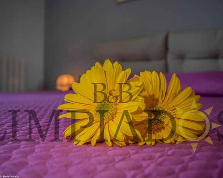 Limpiados Bed & Breakfast