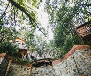 Le Casette sull'albero di Villa Alba