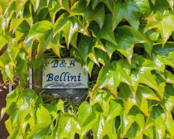 B&B Bellini