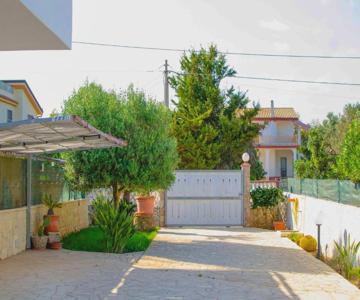 San Lorenzo Holiday