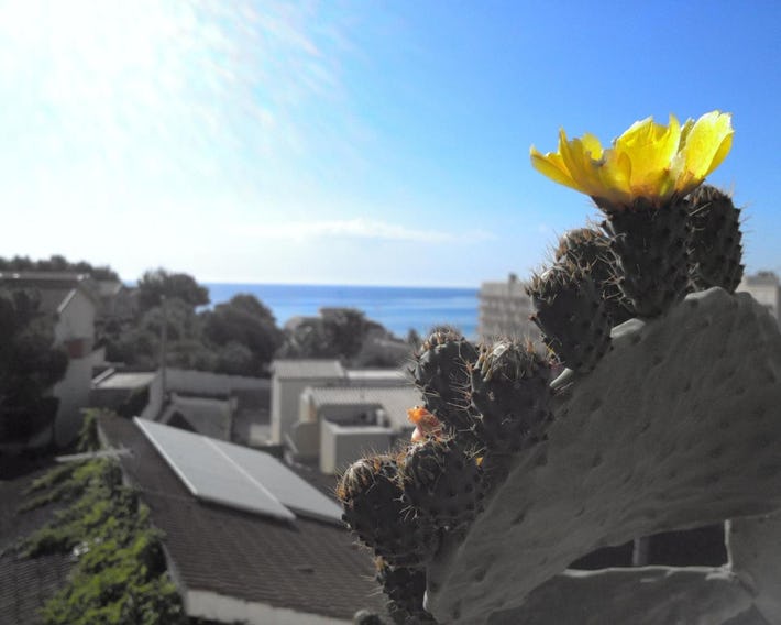 B&B Due Passi Dal Mare