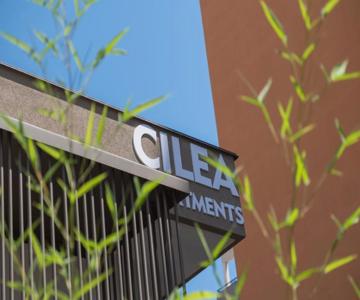Cilea Apartments