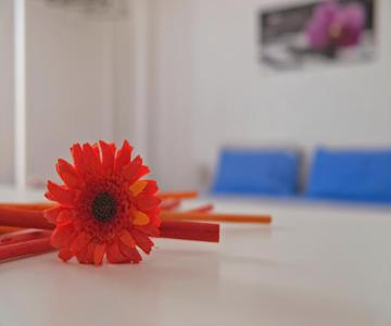 Guest House Susanna