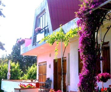 B&B Aloisio