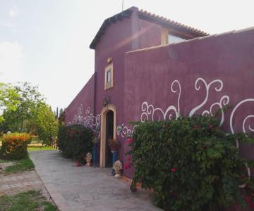 Lemontree Garden