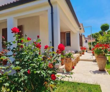 Kleade B&b