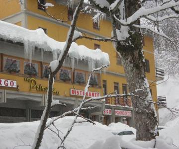 Hotel Primula