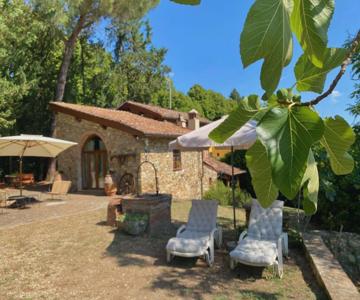 Berenice In Chianti
