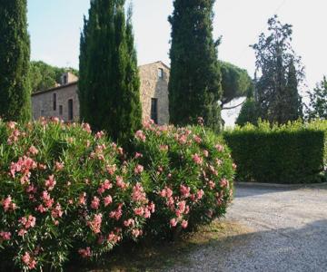 Casaleaurelia