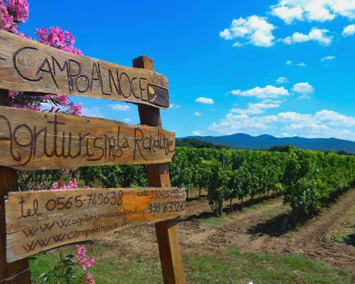 Agriturismo La Rondine