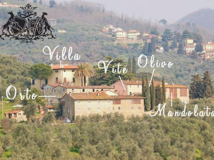 Fattoria di Fubbiano