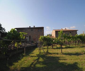 Agriturismo Scorgiano