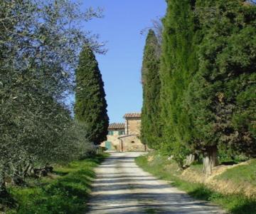 Podere Calcinaia