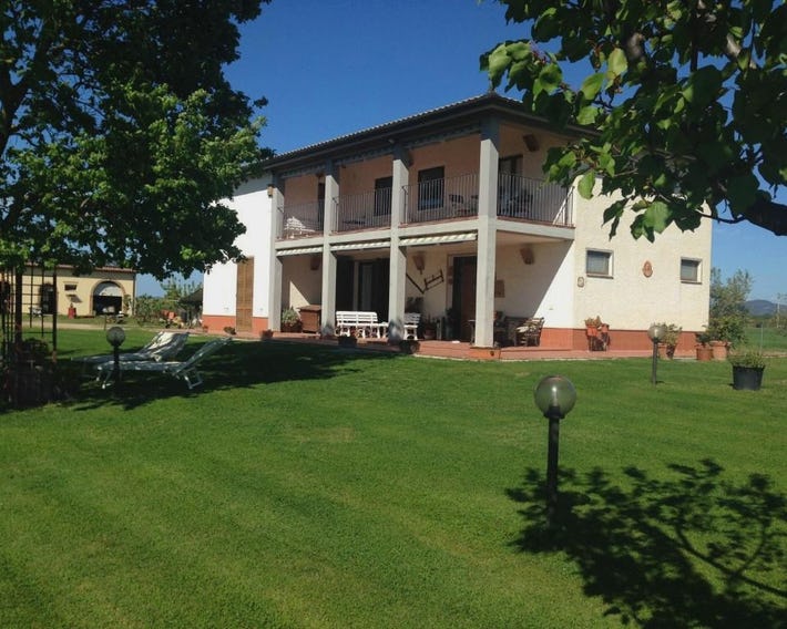 Il Grano Di Bramante