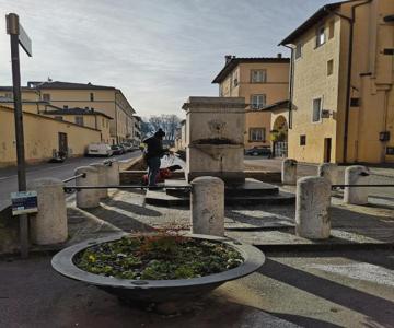 Domus Lucca