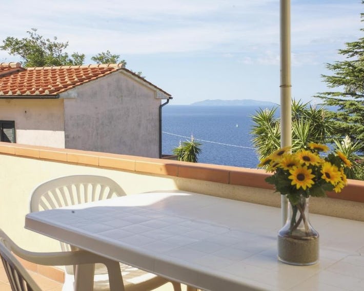 Bougainvillea Primo Piano - Goelba