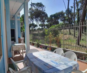 Bibbona Summer - Pineta 1 -