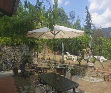 I Gechi - Marina Di Campo
