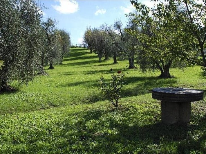 Verdidea-Podere Torre
